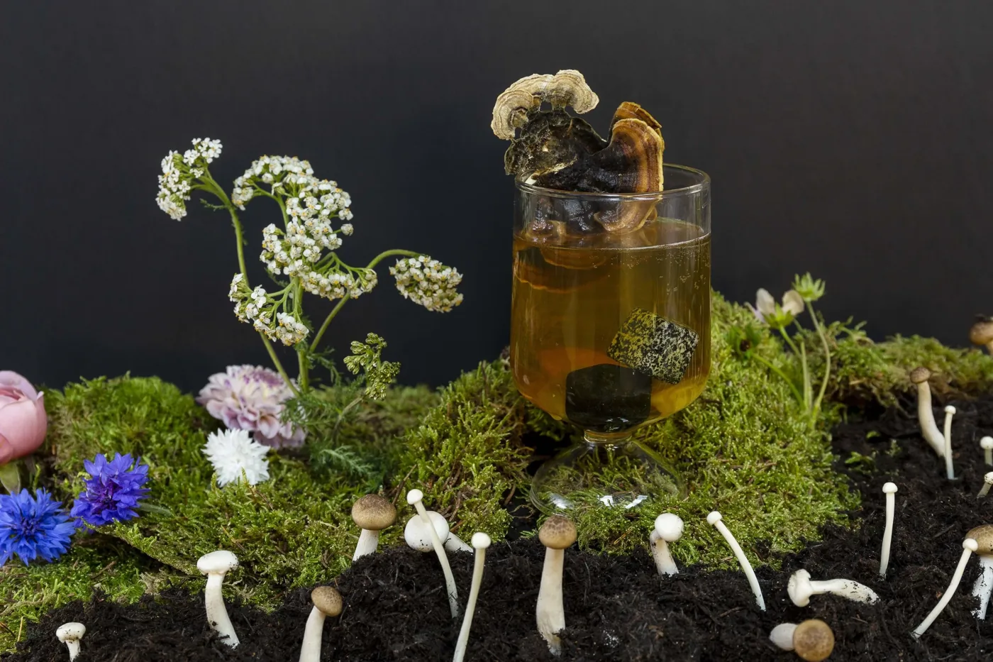 A reishi and mushroom cocktail set in a landscape of moss, wildflowers and foraged mushrooms