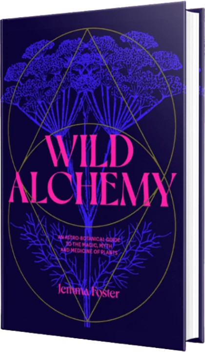 Wild Alchemy book cover
