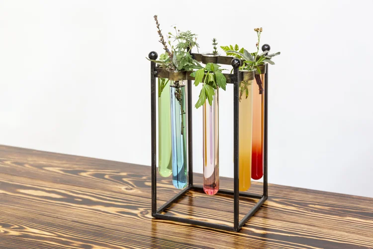 A rack of coloured elixirs topped with fresh herbs