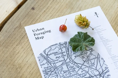 An urban foraging map with a crab apple, hops and a geranium leaf