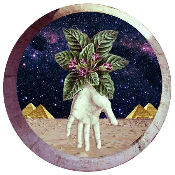 A pale hand rising from desert sand crowned with a flowering plant, held within a stone ring against a starfield with two golden pyramids