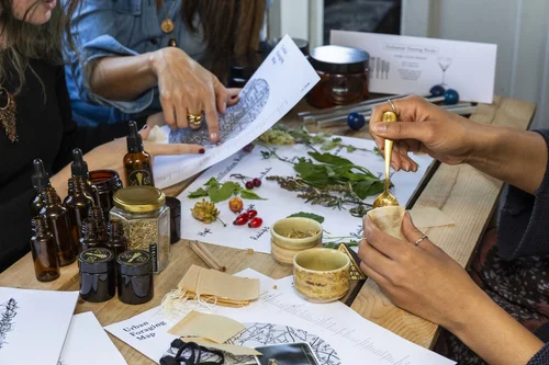 Hands working with plants, essences and a printed chart during a session