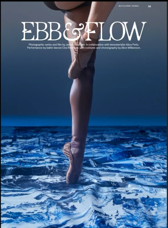 Ebb & Flow, a Wild Alchemy Journal photographic feature