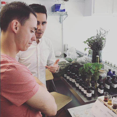 Discussing tinctures and formulations in the lab