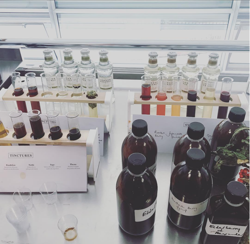 Racks of tinctures and labelled bottles on a lab bench