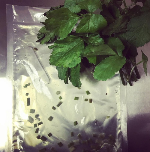 Botanicals prepared for extraction in the lab